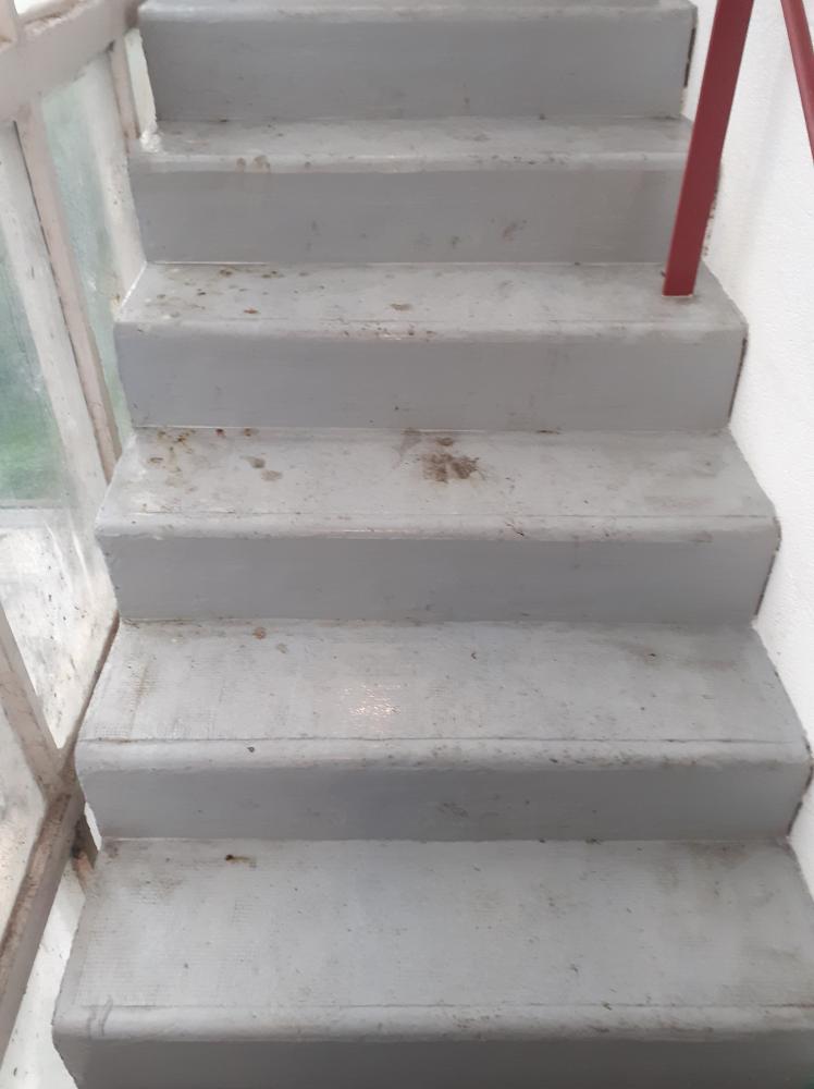 escalier avant